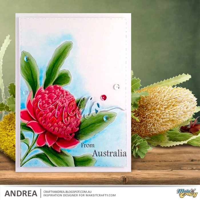 Australian flowers by Andrea.