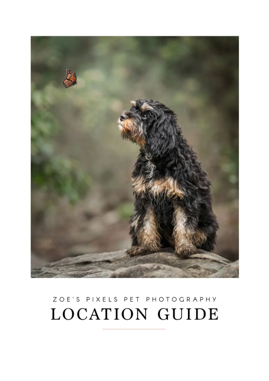 Location Guide