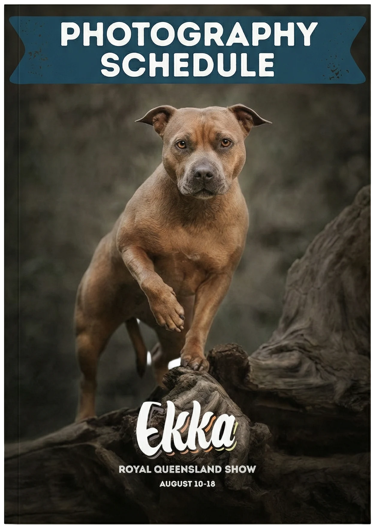 My photograph on the Ekka Photography Schedule cover.