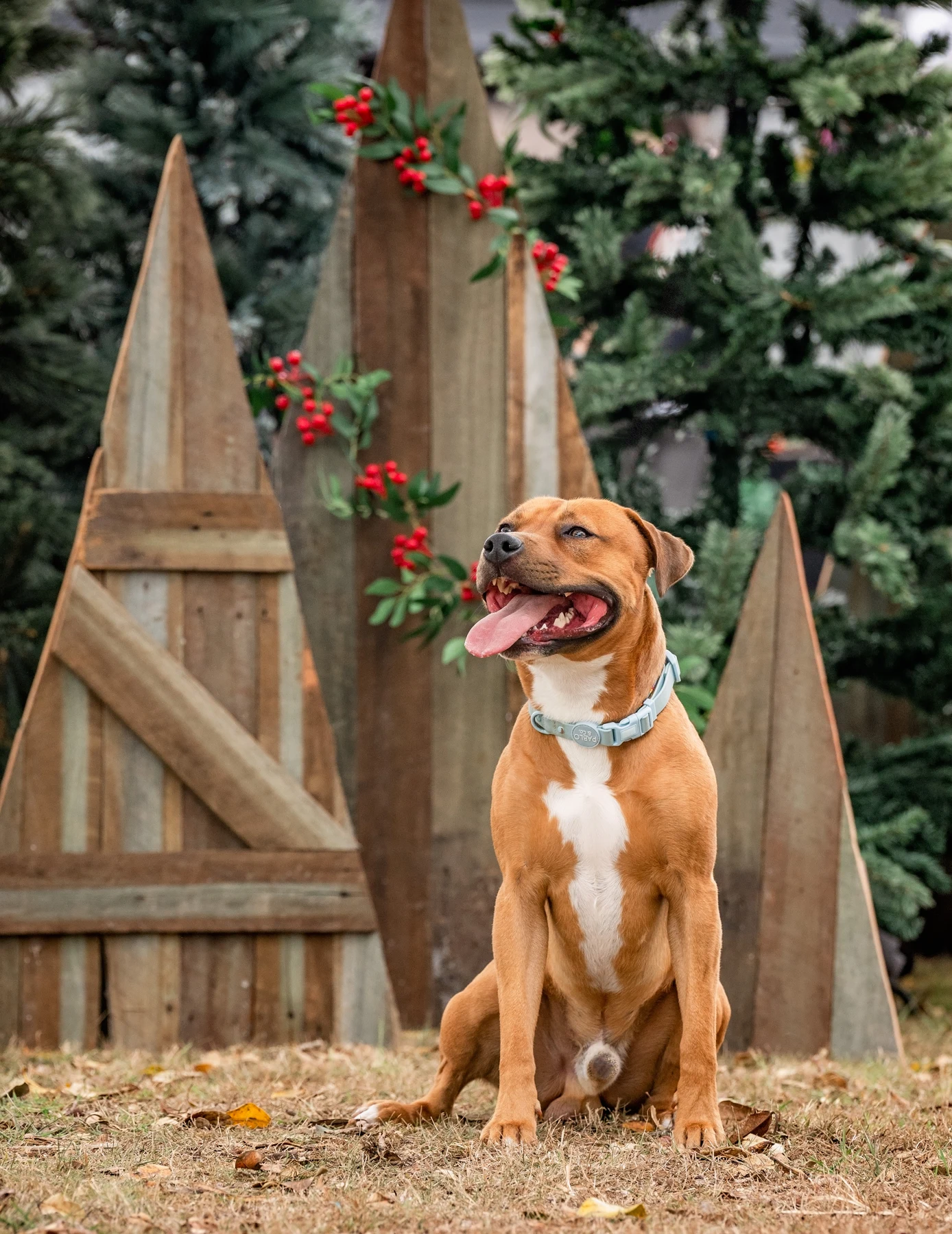 The handmade wooden trees in the finished photo setting.