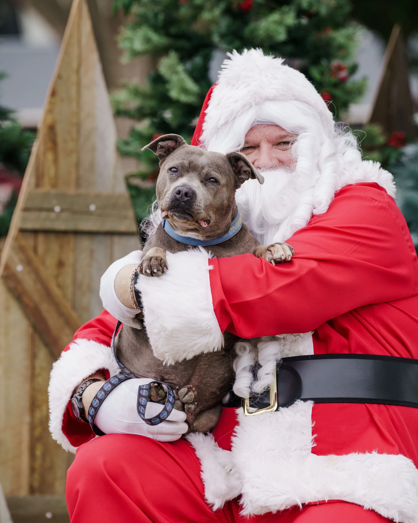 A Christmas portrait with Santa.