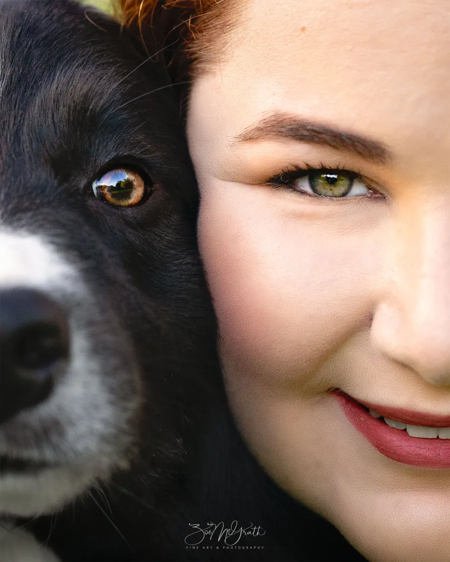 Dog portrait