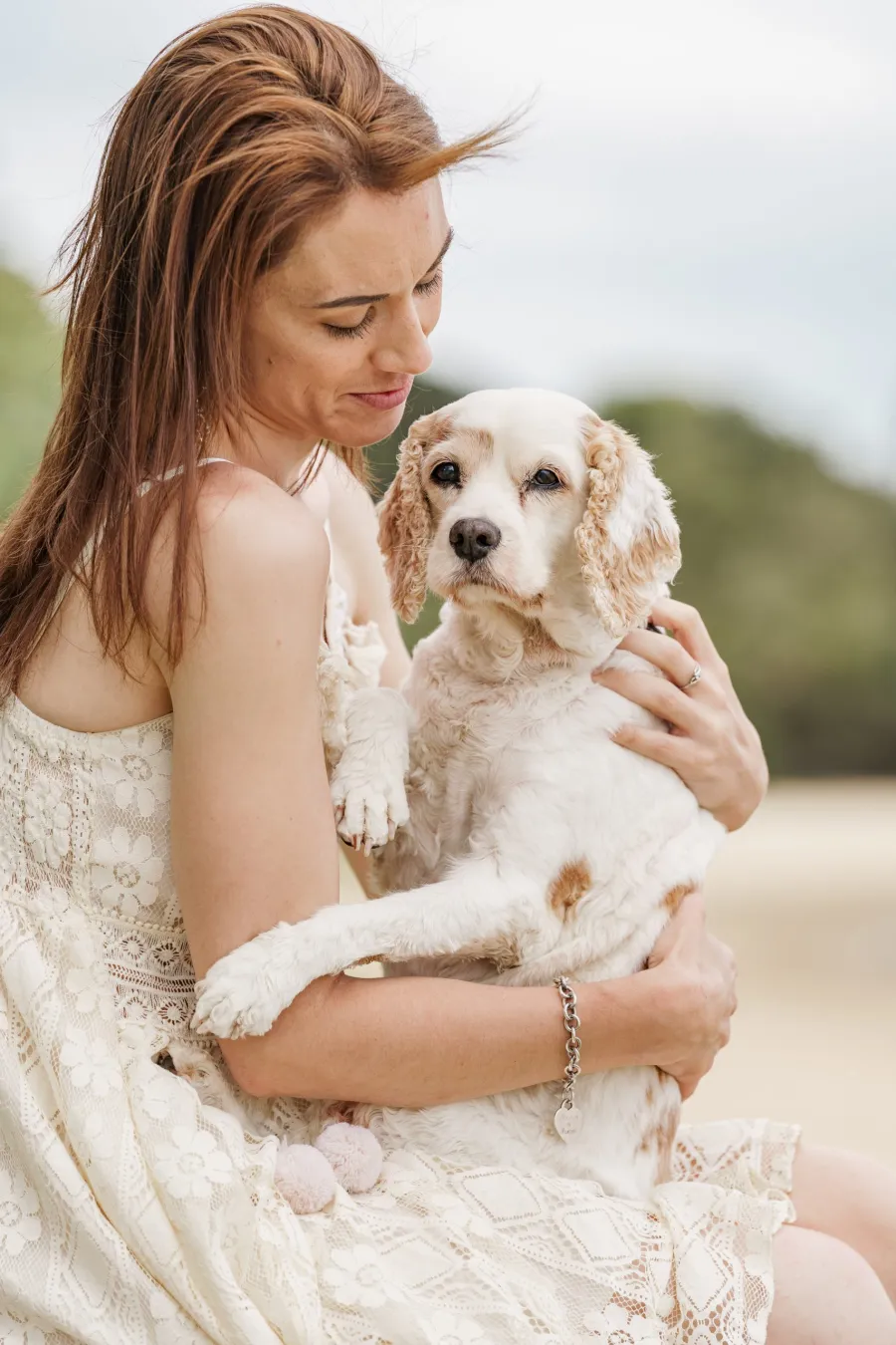 Dog portrait