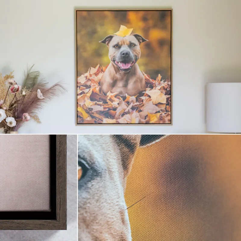 Framed canvas