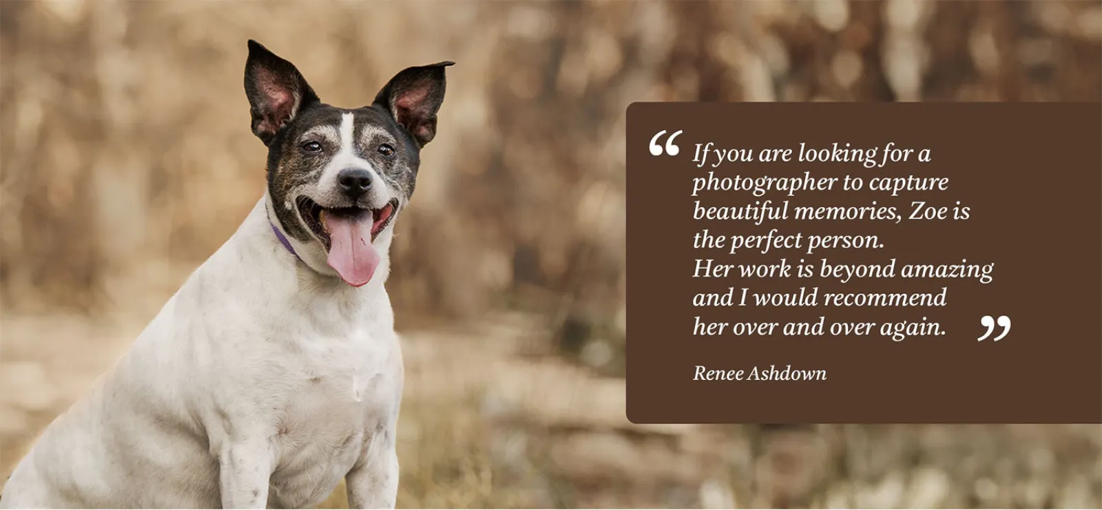 Testimonial from Renee