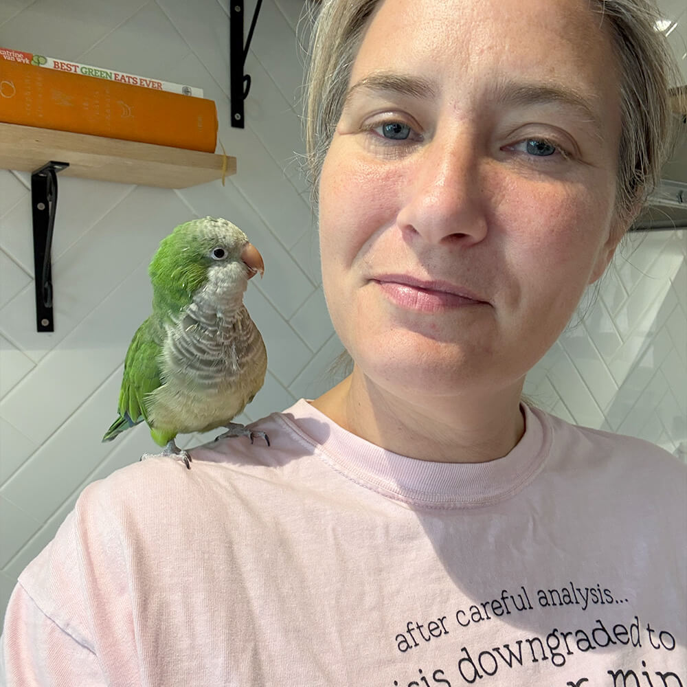 Pluto the Quaker Parrot